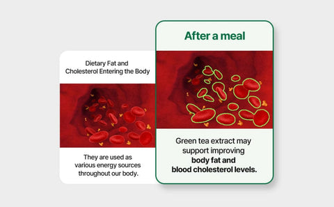 NUKHAN NUKHAN Slimnight